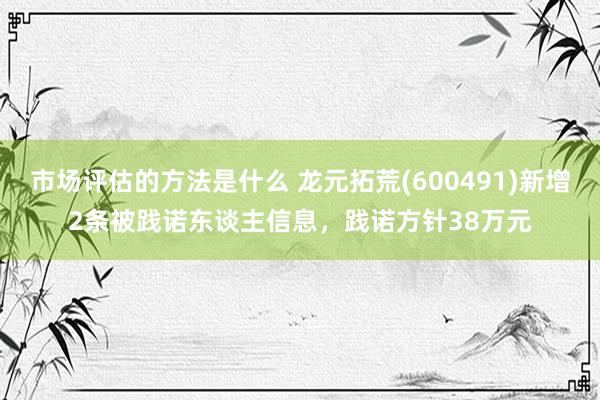 市场评估的方法是什么 龙元拓荒(600491)新增2条被践诺东谈主信息，践诺方针38万元