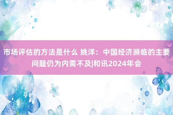 市场评估的方法是什么 姚洋：中国经济濒临的主要问题仍为内需不及|和讯2024年会