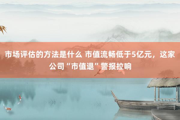 市场评估的方法是什么 市值流畅低于5亿元，这家公司“市值退”警报拉响