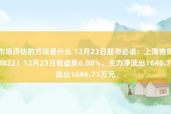 市场评估的方法是什么 12月23日股市必读：上海物贸（600822）12月23日收盘跌6.08%，主力净流出1646.71万元