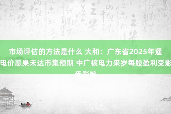 市场评估的方法是什么 大和：广东省2025年遥远电价恶果未达市集预期 中广核电力来岁每股盈利受影响