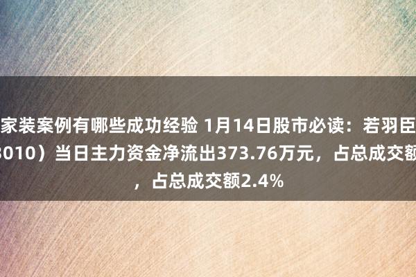 家装案例有哪些成功经验 1月14日股市必读：若羽臣（003010）当日主力资金净流出373.76万元，占总成交额2.4%