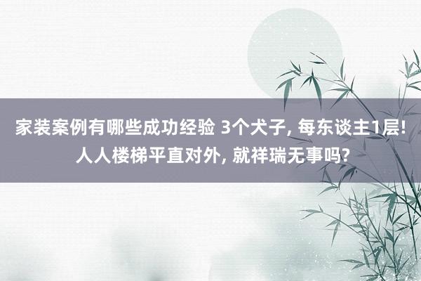 家装案例有哪些成功经验 3个犬子, 每东谈主1层! 人人楼梯平直对外, 就祥瑞无事吗?